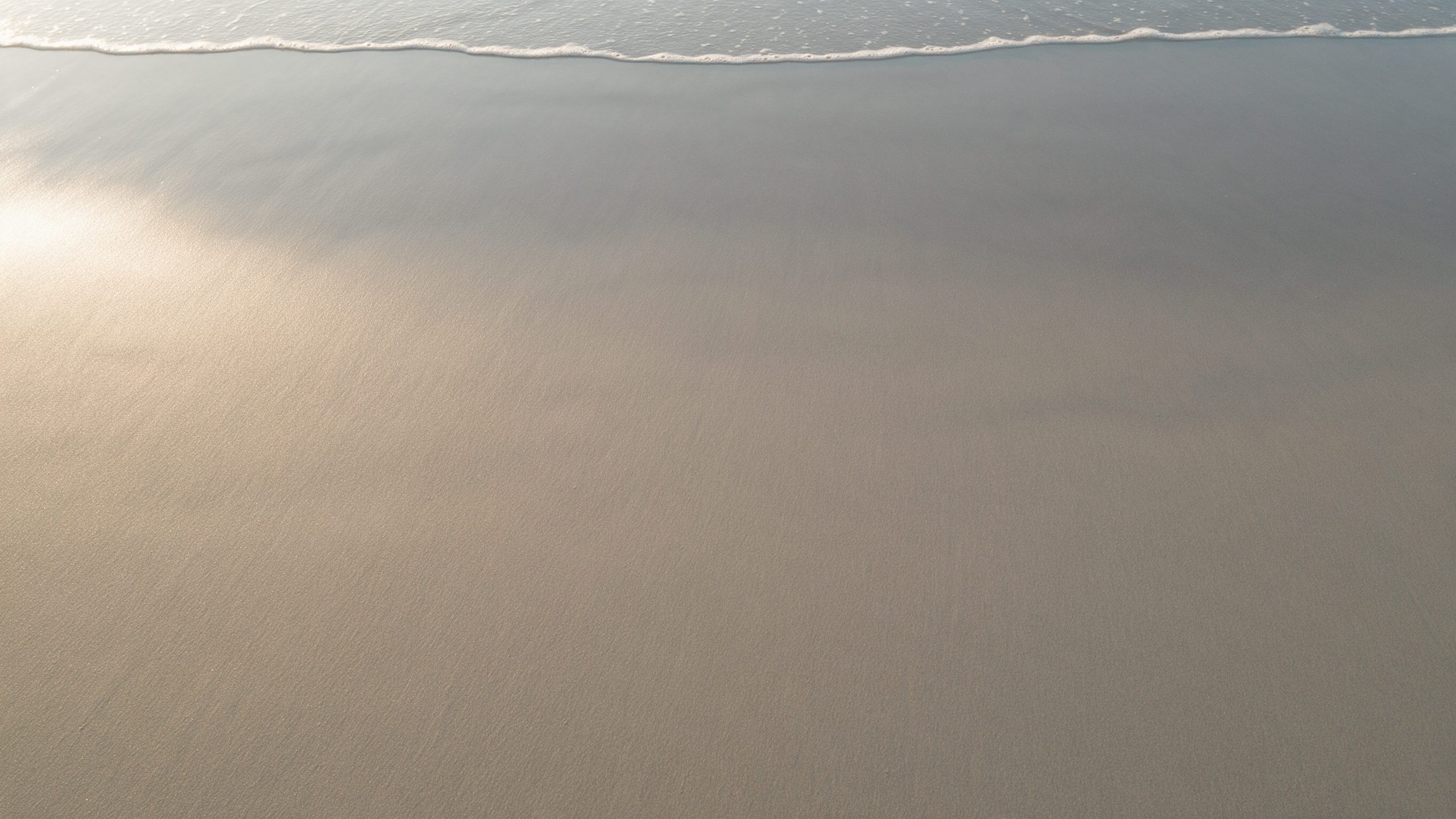 Wet sand at the water's edge, seen from above. Four trails of footprints, two big and two small, walk side by side toward the sea.
